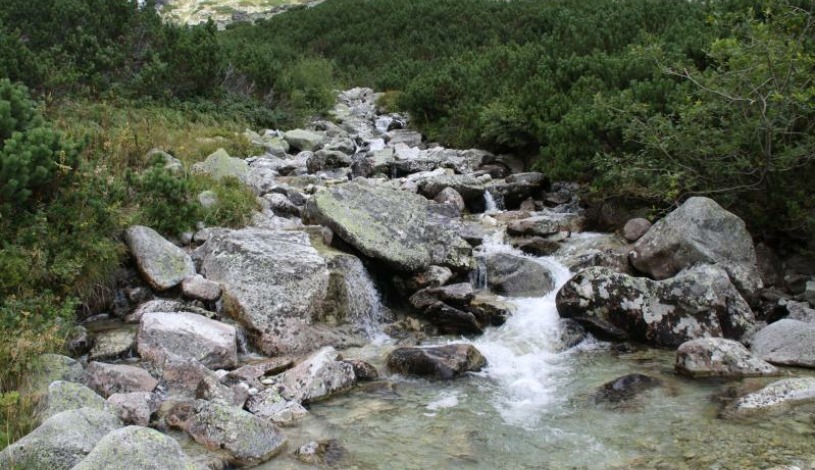 Hotel CROCUS **** Vysoké Tatry